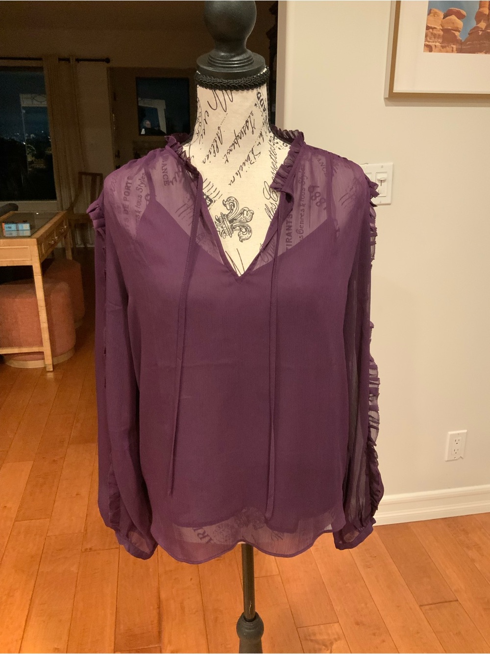 Banana Republic Plum Sheer V-Neck Ruffle Blouse
